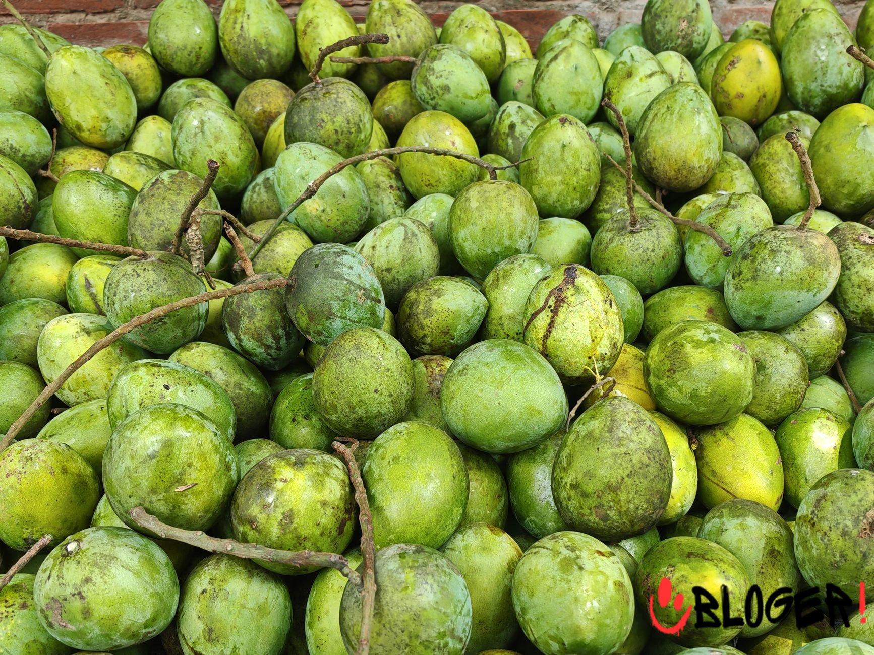 Mango Season Explained